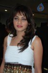 sneha-ullal-photos