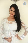 sonal-chauhan-hot-photos