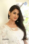 sonal-chauhan-hot-photos