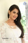 sonal-chauhan-hot-photos