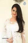 sonal-chauhan-hot-photos