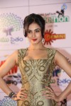 sonal-chauhan-new-stills