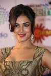 sonal-chauhan-new-stills