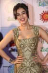 sonal-chauhan-new-stills