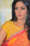 sridevi-latest-stills