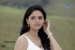 sunaina-hot-photos