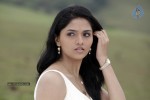 sunaina-hot-photos