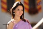 tamanna-hot-photos