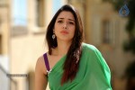 tamanna-new-photo-gallery