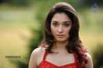 tamanna-spicy-stills