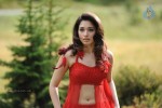 tamanna-spicy-stills