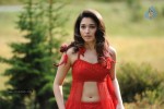 tamanna-spicy-stills