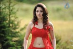 tamanna-spicy-stills