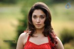 tamanna-spicy-stills