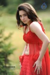 tamanna-spicy-stills