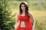 tamanna-spicy-stills