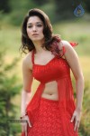 tamanna-spicy-stills