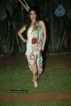 wine-viva-fashion-show-2011