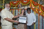 bengal-tiger-movie-opening