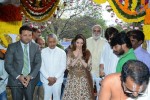 bengal-tiger-movie-opening