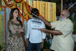 bengal-tiger-movie-opening