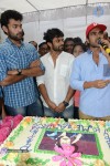 chiranjeevi-birthday-2014-celebrations