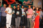 dillunnodu-audio-launch