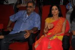 english-vinglish-trailer-launch