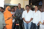 gomatha-serial-launch