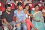 iddarammayilatho-audio-launch-03