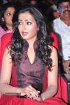 iddarammayilatho-audio-launch-04