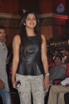 iddarammayilatho-audio-launch-04