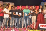 iddarammayilatho-audio-launch-05