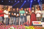 iddarammayilatho-audio-launch-05