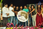 iddarammayilatho-audio-launch-05