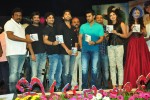 iddarammayilatho-audio-launch-05