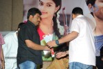 iddarammayilatho-platinum-disc-function