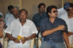 kittigadu-movie-opening