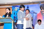 mirapakaya-movie-success-meet