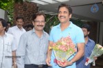 nagarjuna-bday-celebrations-2012