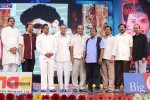 prabhanjanam-audio-launch-01