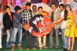 race-movie-audio-launch