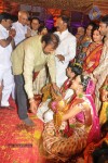 raghuveera-reddy-daughter-wedding