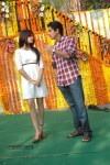 siddharth-new-movie-opening