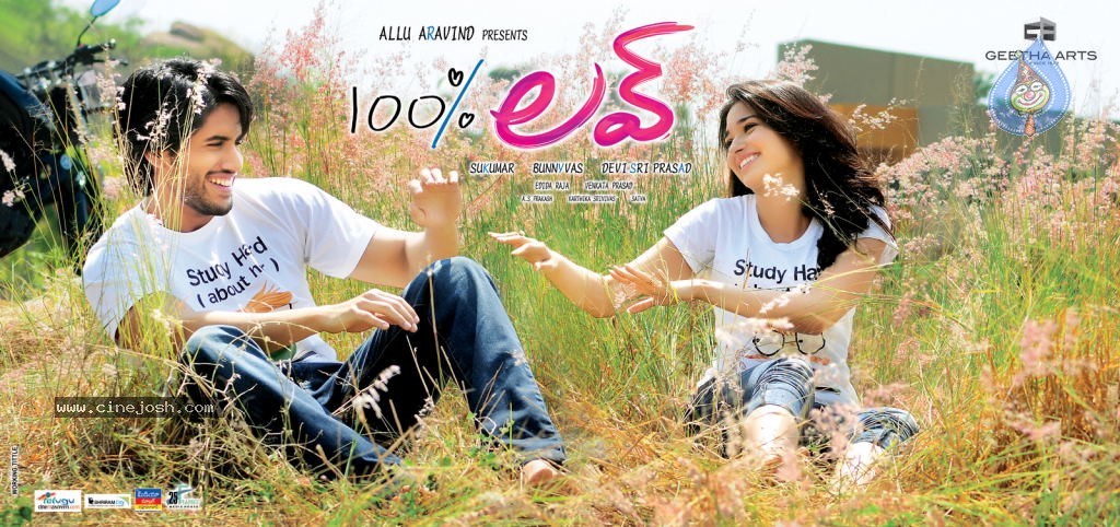 100% love movie