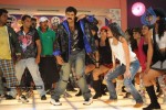 balakrishnas-simha-movie-latest-gallery