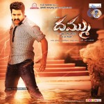 dammu-movie-new-wallpapers