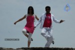 galli-kurrollu-movie-stills