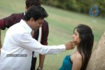 galli-kurrollu-movie-stills