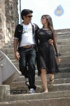 galli-kurrollu-movie-stills